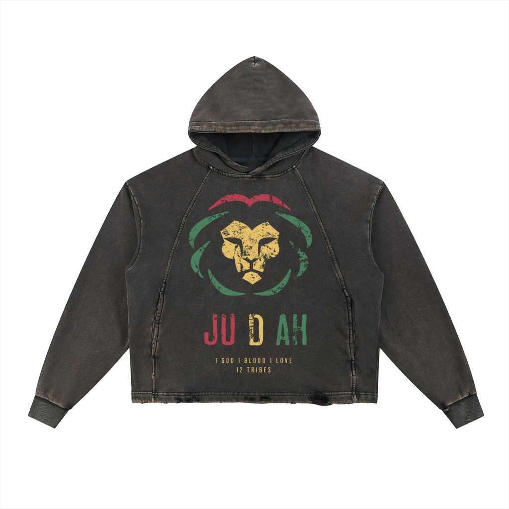 Ryan Lauryn Vintage Washed Frayed-Hem Hoodie